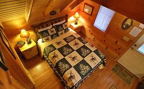 Cozy Cabin W/ Fireplace 3 Minutes To Helen! #2.